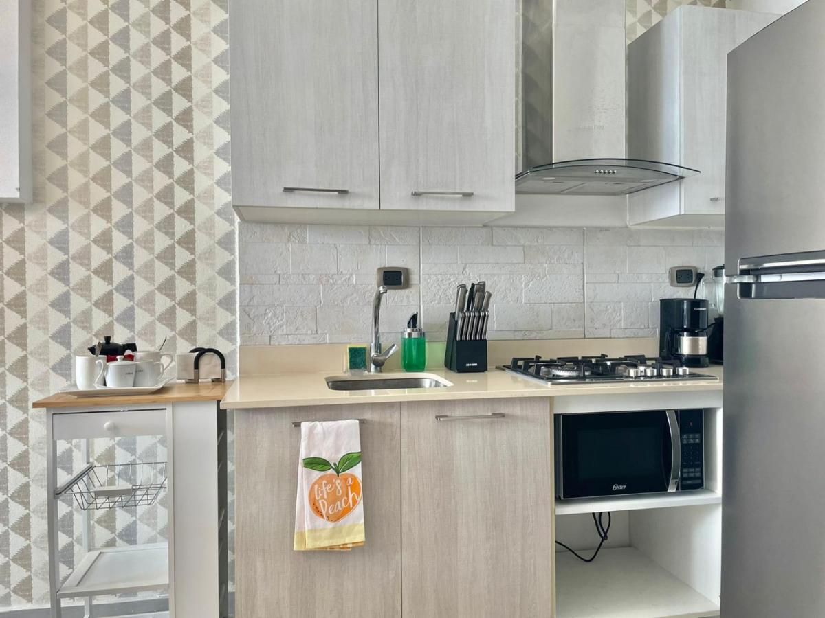 Torre Downtown Santo Domingo Apartment Екстериор снимка